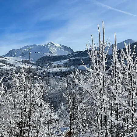 Dağ evi Prestige Helios 12 Guests Megève